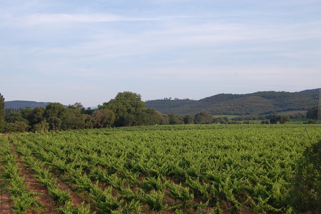 Chateau De La Clapiere Ιέρ Εξωτερικό φωτογραφία